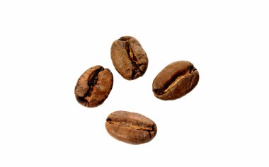 Kaffeebohne