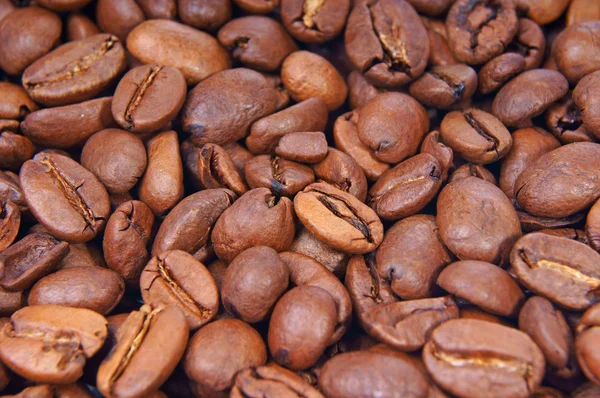 Caffeebohne — Foto de Stock