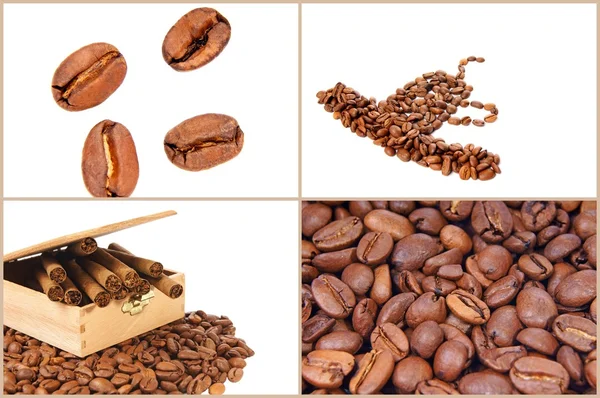 Kaffeebohne — Stock Photo, Image