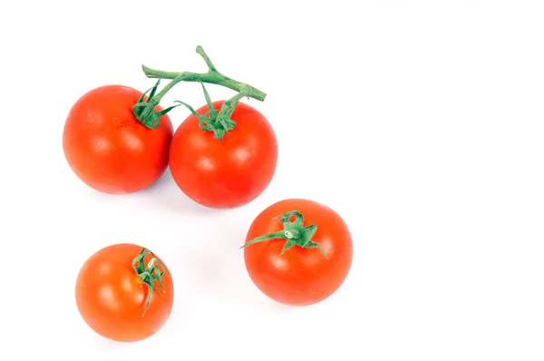 Tomate — Stock Photo, Image