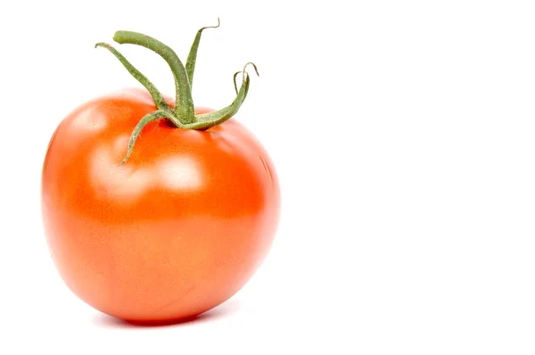 Tomate — стокове фото
