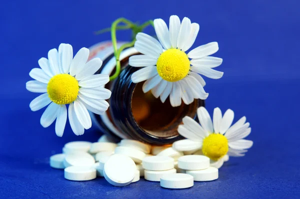 Drug and daisy — Stock Photo, Image