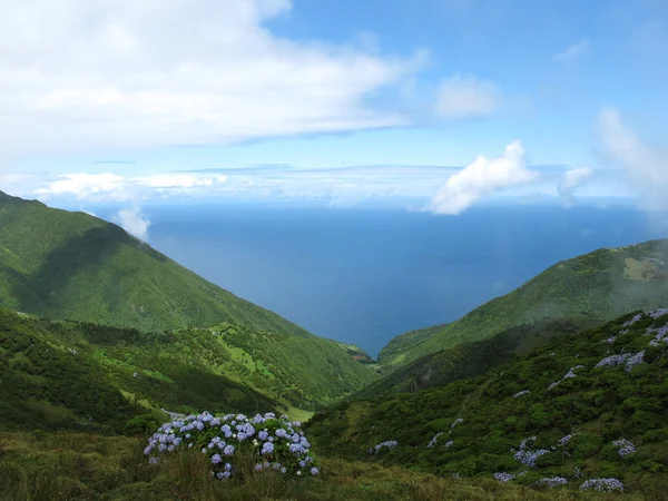 Azori-szigetek Jogdíjmentes Stock Képek