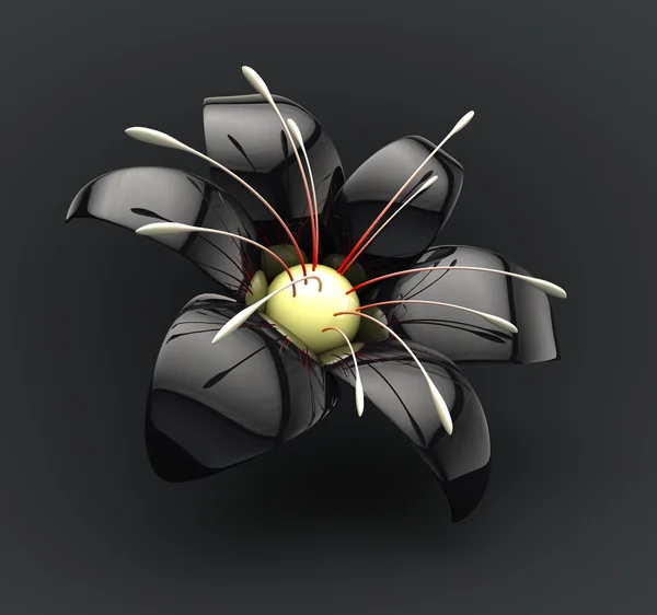Fekete porcelán virág tükörképe Stock Kép