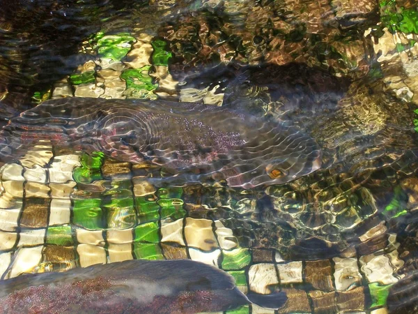 Chaleira com mosaico na parte inferior — Fotografia de Stock