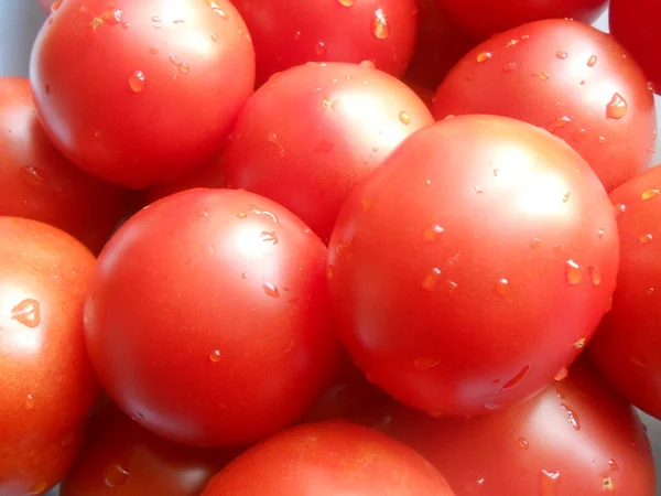 Feche o tiro de tomates em uma cesta — Fotografia de Stock