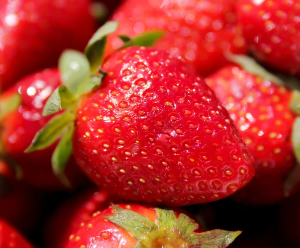 stock image Strawberry