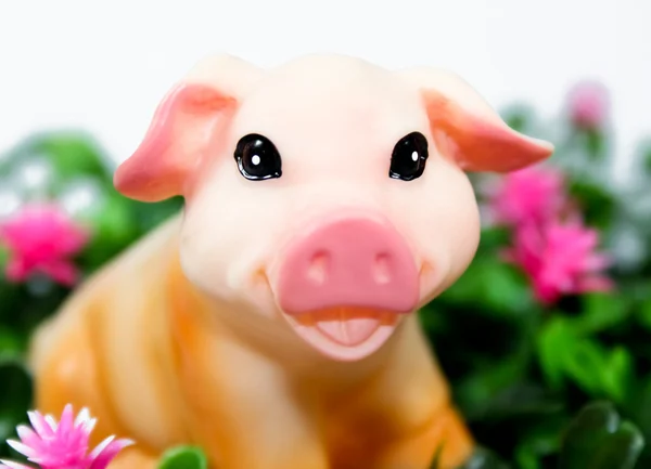 Glückliches Schwein Stockbild