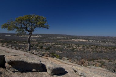 Enchanted rock state park clipart