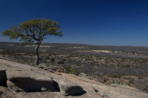 Enchanted rock state park Stock Image