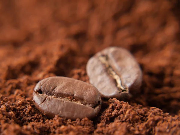 Primer plano del grano de café — Foto de Stock