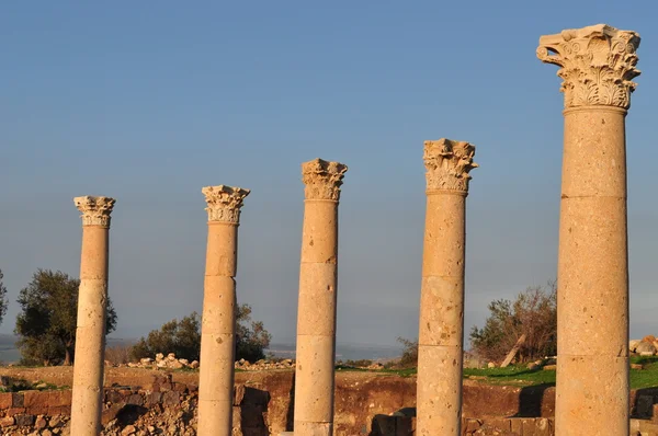 Römische Säulen in umm qais — Stockfoto