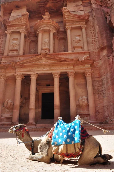 Petra,Jordan — Stock Photo, Image