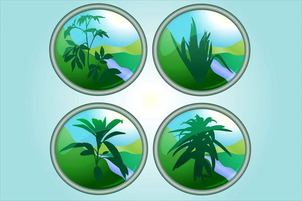 yeşil bitki düğmeleri