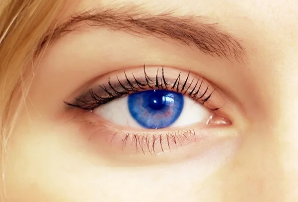 Beautiful female blue eye. Macro shooting — Stock Photo, Image
