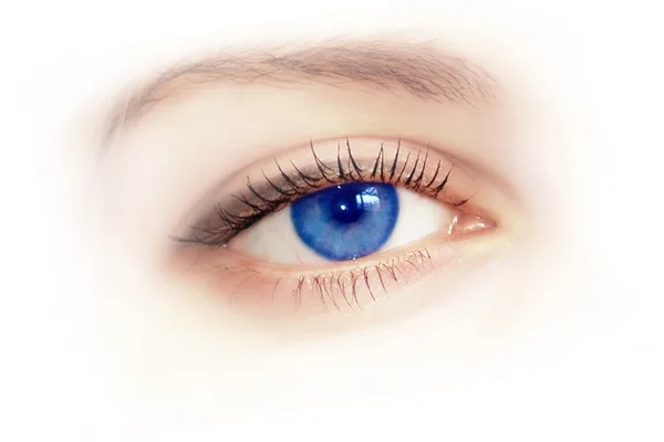 Güzel kadın mavi göz. makro çekim — Stok fotoğraf