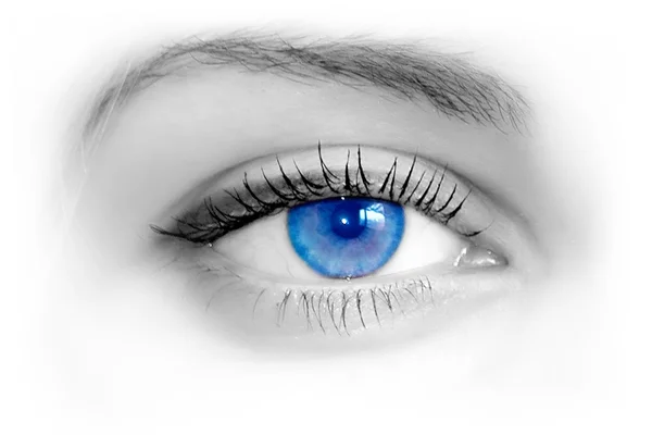 아름 다운 여성 푸른 눈입니다. 매크로 촬영 — 스톡 사진