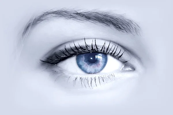 Gyönyörű női kék szem. makró felvétel — Stock Fotó