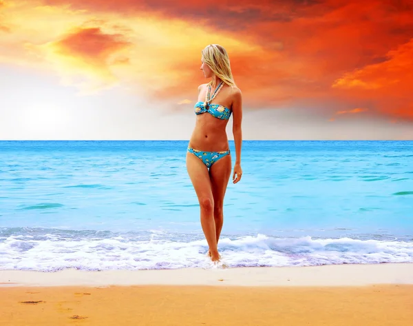 Mujeres hermosas jóvenes en la soleada playa tropical en bikini — Foto de Stock