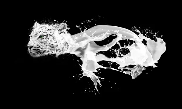Krople mleka rozpryskiwania streszczenie obraz w formie Pantery — Zdjęcie stockowe
