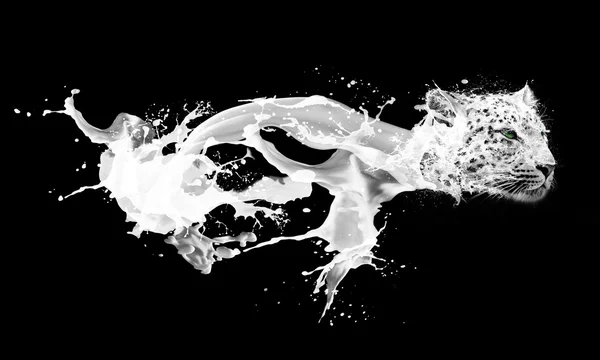 Krople mleka rozpryskiwania streszczenie obraz w formie Pantery — Zdjęcie stockowe