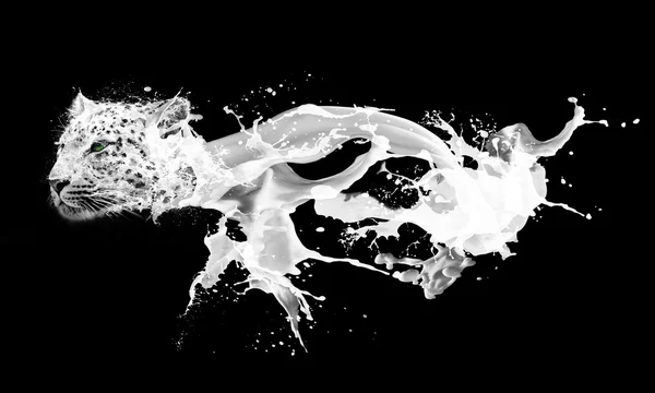 抽象形象的牛奶溅滴眼液在豹形式 — 图库照片