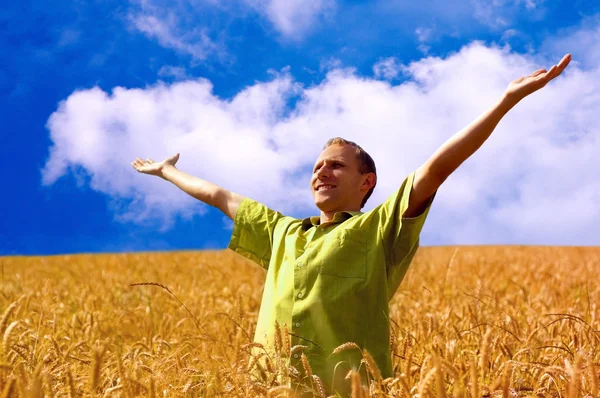 Gelukkig man op het gouden tarweveld en de blauwe hemel — Stockfoto