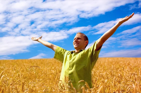 Uomo felice sul campo di grano dorato e cielo blu — Foto Stock