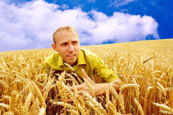 Šťastný muž na zlaté pšeničné pole a modré nebe — Stock fotografie