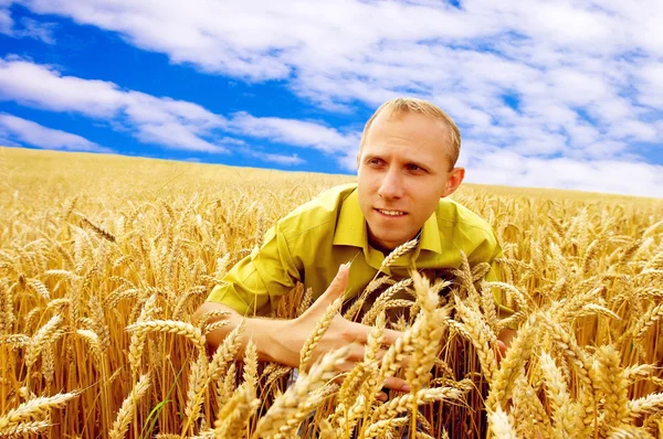 Щасливий чоловік на золотому пшеничному полі та блакитному небі — стокове фото