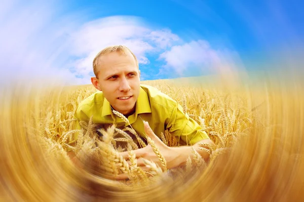 Homem feliz no campo de trigo dourado e céu azul — Fotografia de Stock