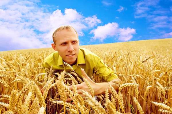 Feliz hombre en el campo de trigo dorado y el cielo azul —  Fotos de Stock