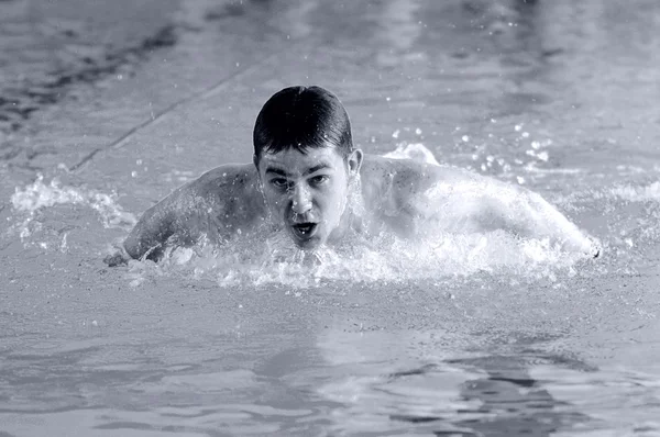 Nadador nadando en la piscina — Stockfoto