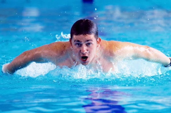 Пловец плавает в бассейне — стоковое фото