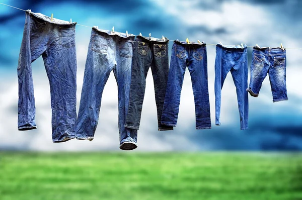 Jeans på ett klädstreck att torka Stockbild