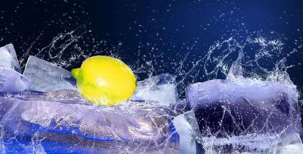 Water drops rond citron op het ijs — Stockfoto