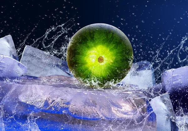 Вода капает вокруг арбуза на лед — стоковое фото