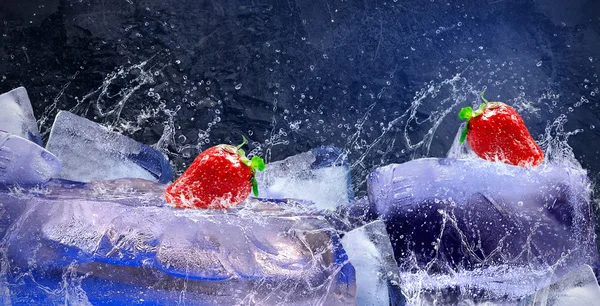 Kapky vody kolem červené jahody na ledě — Stock fotografie