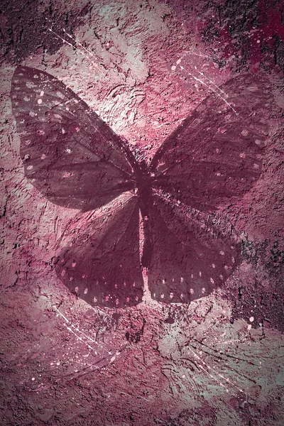 stock image Vintage butterfly