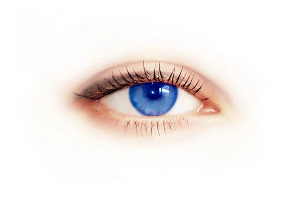 美丽女性的蓝眼睛。微距拍摄 — 图库照片