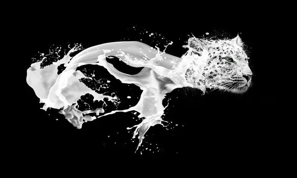 Imagem abstrata de gotas salpicantes de leite na forma de leopardos — Fotografia de Stock