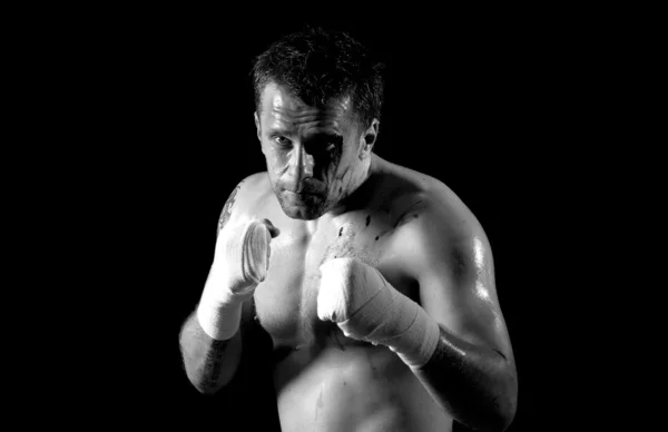 Agresif boksör kanlı yüzü — Stok fotoğraf