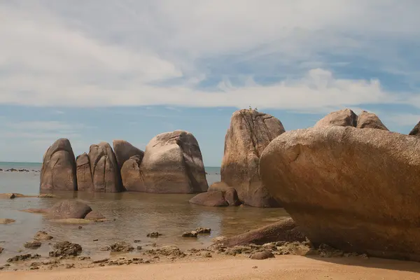 stock image Sandy beach