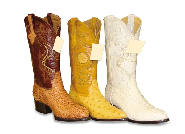 stock image Cowboys Boots