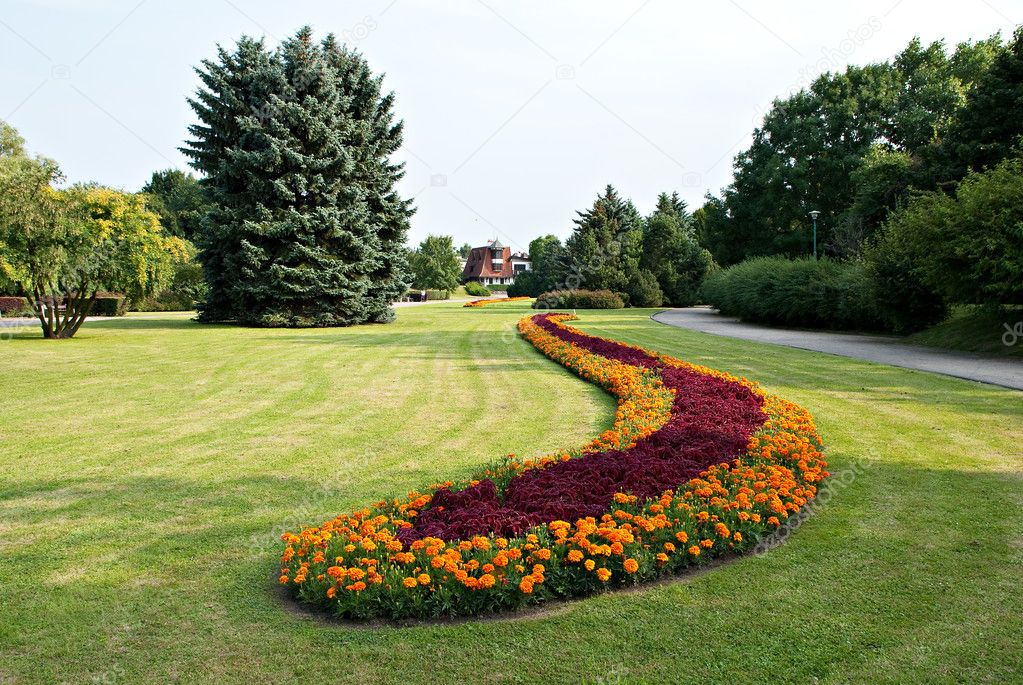 Colorful flower carpet