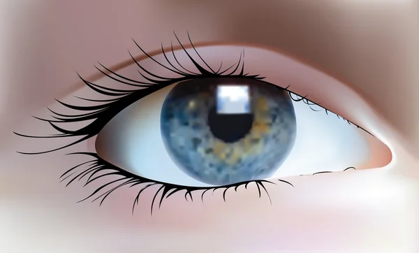 Oeil bleu — Image vectorielle