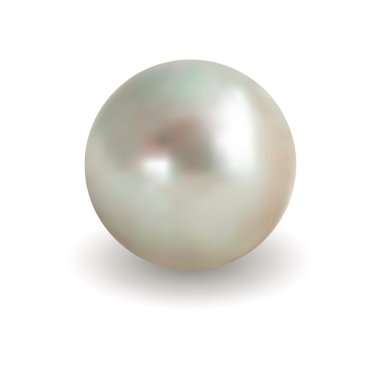 White Pearl clipart