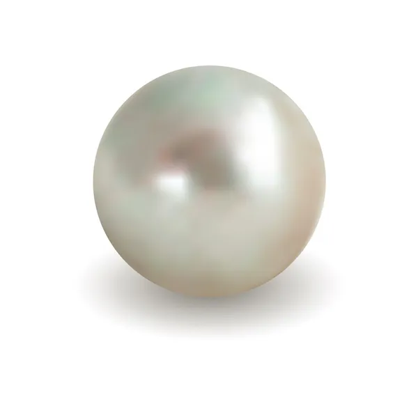 Biała perła — Wektor stockowy