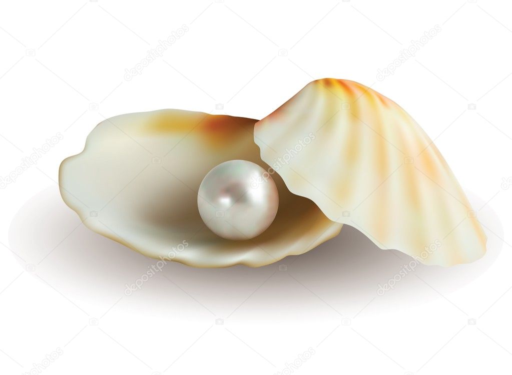 White Pearl in Shell