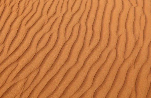 Patrón en una duna de arena en un desierto cerca de Dubai, Emiratos Árabes Unidos — Foto de Stock